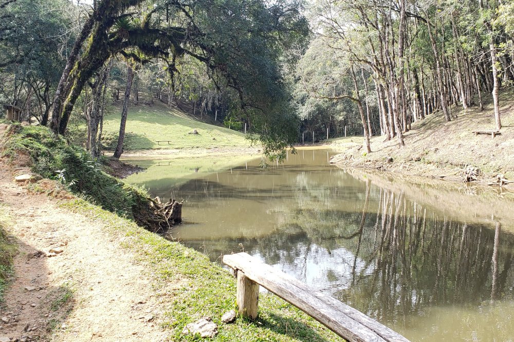 Rua Chimboveiro, N. 000, Chimboveiro, Mandirituba, 0 , 0 ,0,Terreno,Venda,Chimboveiro,Chimboveiro,0,1073