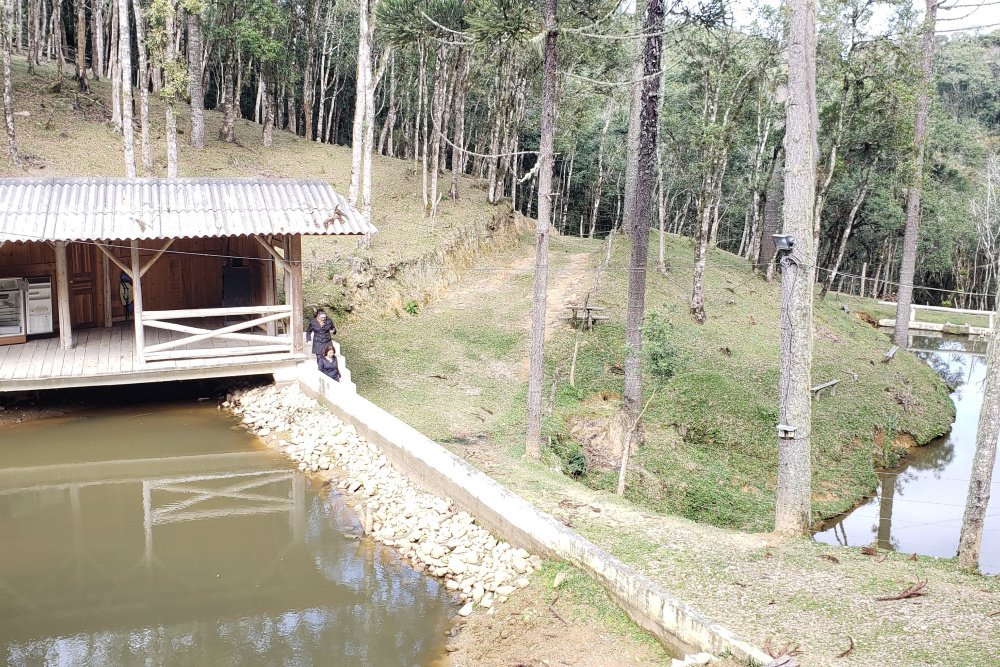 Rua Chimboveiro, N. 000, Chimboveiro, Mandirituba, 0 , 0 ,0,Terreno,Venda,Chimboveiro,Chimboveiro,0,1073