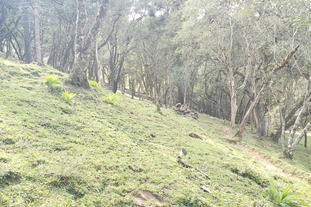 Rua Chimboveiro, N. 000, Chimboveiro, Mandirituba, 0 , 0 ,0,Terreno,Venda,Chimboveiro,Chimboveiro,0,1073