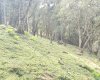Rua Chimboveiro, N. 000, Chimboveiro, Mandirituba, 0 , 0 ,0,Terreno,Venda,Chimboveiro,Chimboveiro,0,1073