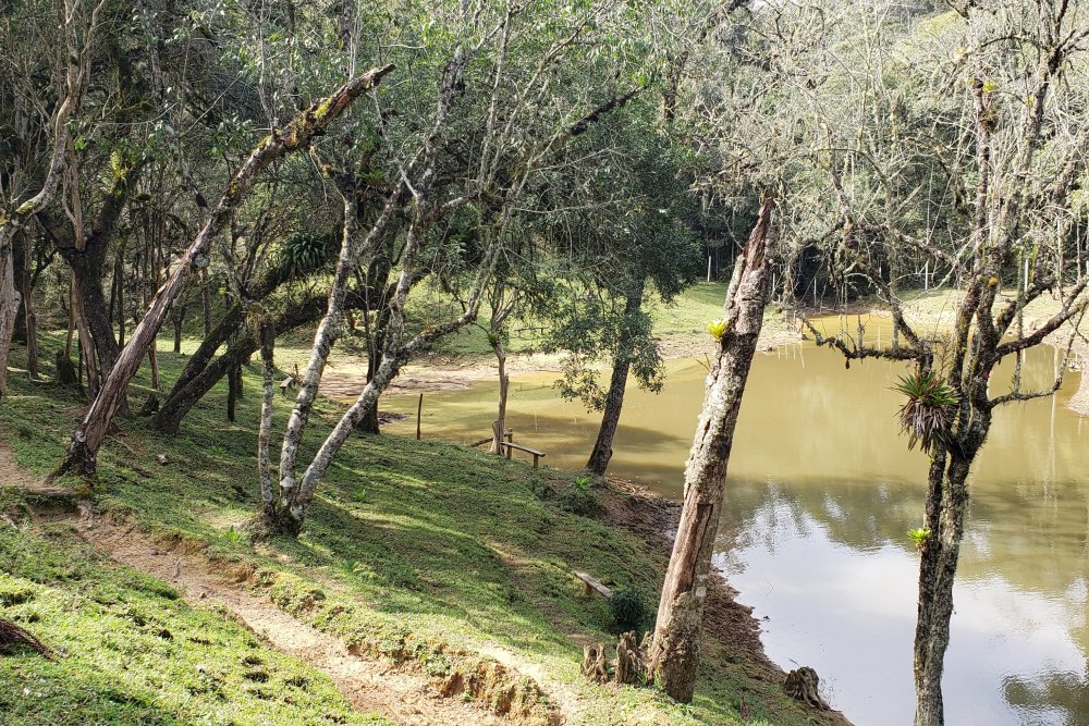 Rua Chimboveiro, N. 000, Chimboveiro, Mandirituba, 0 , 0 ,0,Terreno,Venda,Chimboveiro,Chimboveiro,0,1073