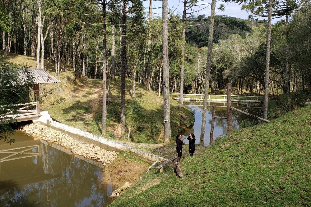 Rua Chimboveiro, N. 000, Chimboveiro, Mandirituba, 0 , 0 ,0,Terreno,Venda,Chimboveiro,Chimboveiro,0,1073