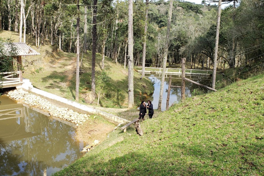 Rua Chimboveiro, N. 000, Chimboveiro, Mandirituba, 0 , 0 ,0,Terreno,Venda,Chimboveiro,Chimboveiro,0,1073