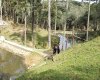 Rua Chimboveiro, N. 000, Chimboveiro, Mandirituba, 0 , 0 ,0,Terreno,Venda,Chimboveiro,Chimboveiro,0,1073