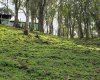 Rua Chimboveiro, N. 000, Chimboveiro, Mandirituba, 0 , 0 ,0,Terreno,Venda,Chimboveiro,Chimboveiro,0,1073