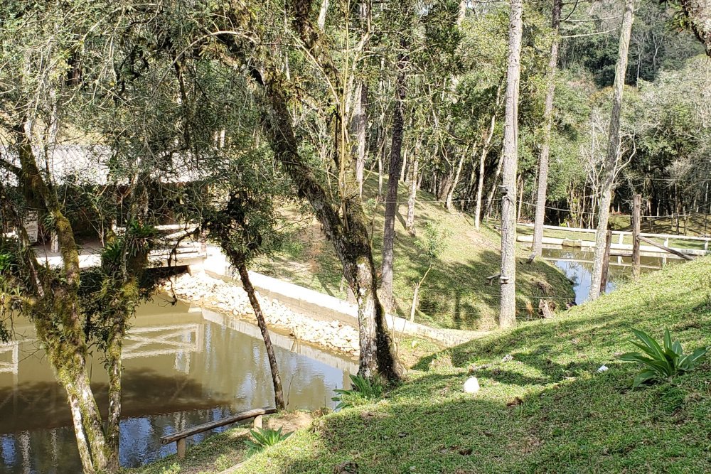 Rua Chimboveiro, N. 000, Chimboveiro, Mandirituba, 0 , 0 ,0,Terreno,Venda,Chimboveiro,Chimboveiro,0,1073