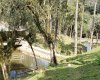 Rua Chimboveiro, N. 000, Chimboveiro, Mandirituba, 0 , 0 ,0,Terreno,Venda,Chimboveiro,Chimboveiro,0,1073