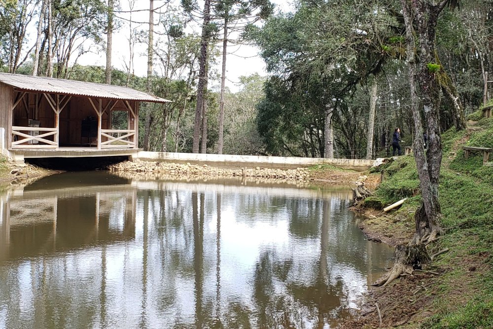 Rua Chimboveiro, N. 000, Chimboveiro, Mandirituba, 0 , 0 ,0,Terreno,Venda,Chimboveiro,Chimboveiro,0,1073
