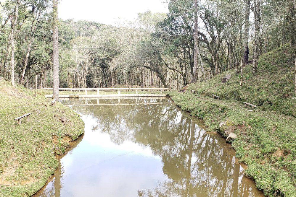 Rua Chimboveiro, N. 000, Chimboveiro, Mandirituba, 0 , 0 ,0,Terreno,Venda,Chimboveiro,Chimboveiro,0,1073