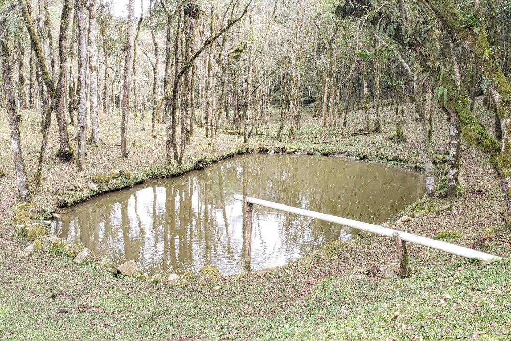 Rua Chimboveiro, N. 000, Chimboveiro, Mandirituba, 0 , 0 ,0,Terreno,Venda,Chimboveiro,Chimboveiro,0,1073