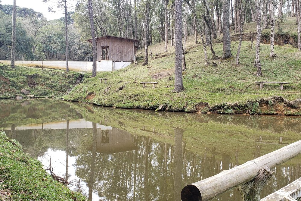 Rua Chimboveiro, N. 000, Chimboveiro, Mandirituba, 0 , 0 ,0,Terreno,Venda,Chimboveiro,Chimboveiro,0,1073