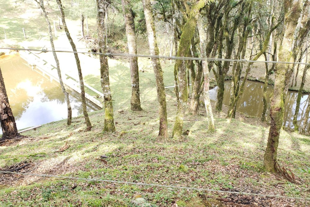 Rua Chimboveiro, N. 000, Chimboveiro, Mandirituba, 0 , 0 ,0,Terreno,Venda,Chimboveiro,Chimboveiro,0,1073
