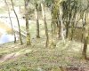 Rua Chimboveiro, N. 000, Chimboveiro, Mandirituba, 0 , 0 ,0,Terreno,Venda,Chimboveiro,Chimboveiro,0,1073