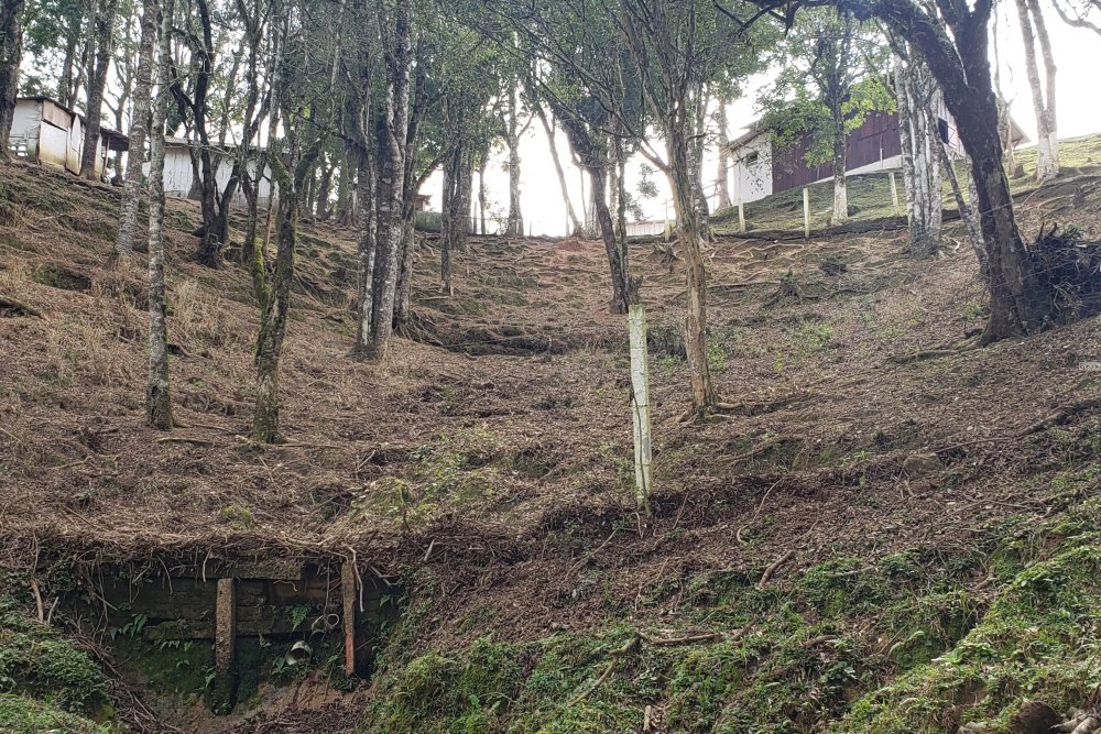 Rua Chimboveiro, N. 000, Chimboveiro, Mandirituba, 0 , 0 ,0,Terreno,Venda,Chimboveiro,Chimboveiro,0,1073