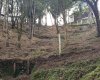 Rua Chimboveiro, N. 000, Chimboveiro, Mandirituba, 0 , 0 ,0,Terreno,Venda,Chimboveiro,Chimboveiro,0,1073