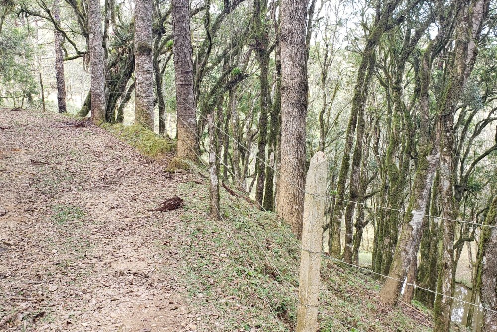 Rua Chimboveiro, N. 000, Chimboveiro, Mandirituba, 0 , 0 ,0,Terreno,Venda,Chimboveiro,Chimboveiro,0,1073