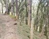 Rua Chimboveiro, N. 000, Chimboveiro, Mandirituba, 0 , 0 ,0,Terreno,Venda,Chimboveiro,Chimboveiro,0,1073