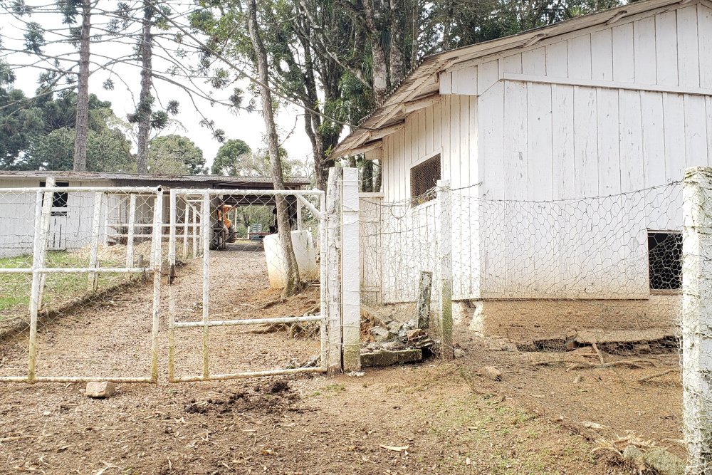 Rua Chimboveiro, N. 000, Chimboveiro, Mandirituba, 0 , 0 ,0,Terreno,Venda,Chimboveiro,Chimboveiro,0,1073