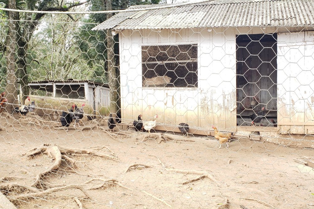Rua Chimboveiro, N. 000, Chimboveiro, Mandirituba, 0 , 0 ,0,Terreno,Venda,Chimboveiro,Chimboveiro,0,1073