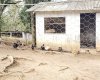 Rua Chimboveiro, N. 000, Chimboveiro, Mandirituba, 0 , 0 ,0,Terreno,Venda,Chimboveiro,Chimboveiro,0,1073