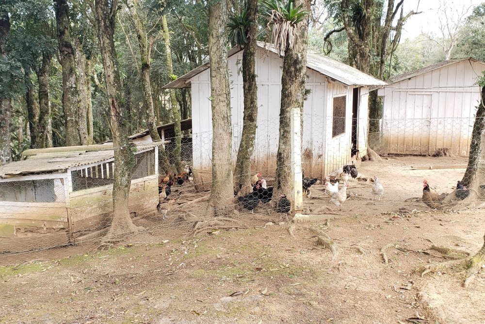 Rua Chimboveiro, N. 000, Chimboveiro, Mandirituba, 0 , 0 ,0,Terreno,Venda,Chimboveiro,Chimboveiro,0,1073