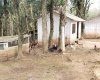 Rua Chimboveiro, N. 000, Chimboveiro, Mandirituba, 0 , 0 ,0,Terreno,Venda,Chimboveiro,Chimboveiro,0,1073
