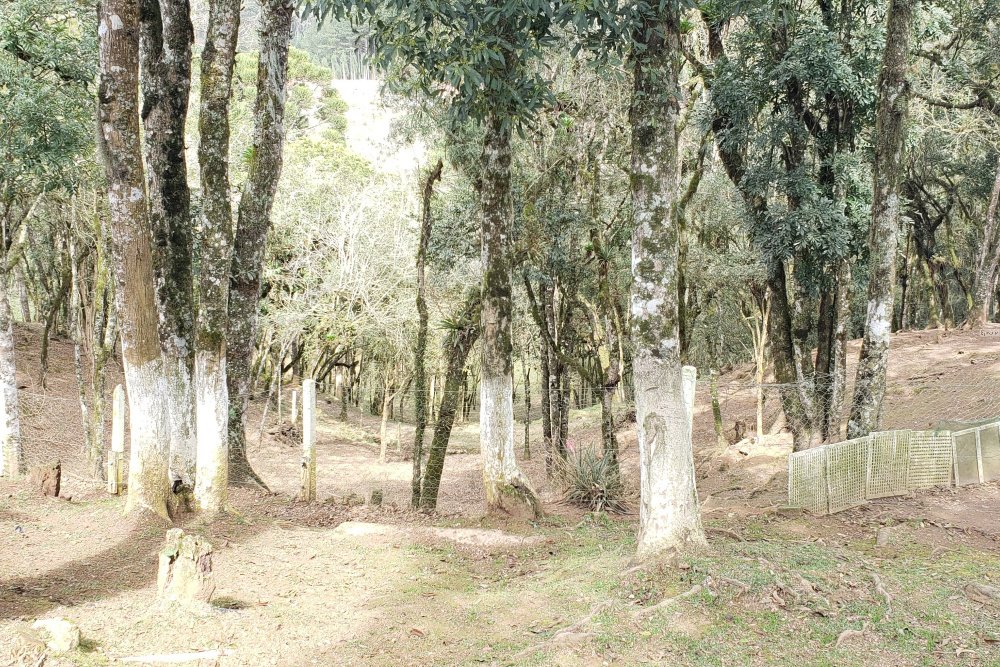 Rua Chimboveiro, N. 000, Chimboveiro, Mandirituba, 0 , 0 ,0,Terreno,Venda,Chimboveiro,Chimboveiro,0,1073
