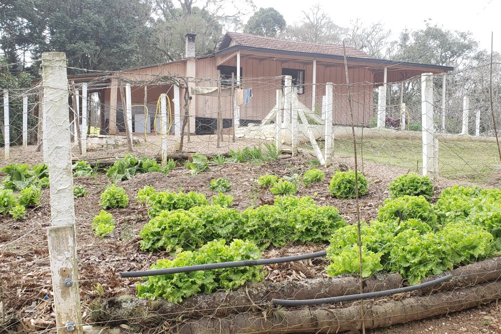 Rua Chimboveiro, N. 000, Chimboveiro, Mandirituba, 0 , 0 ,0,Terreno,Venda,Chimboveiro,Chimboveiro,0,1073