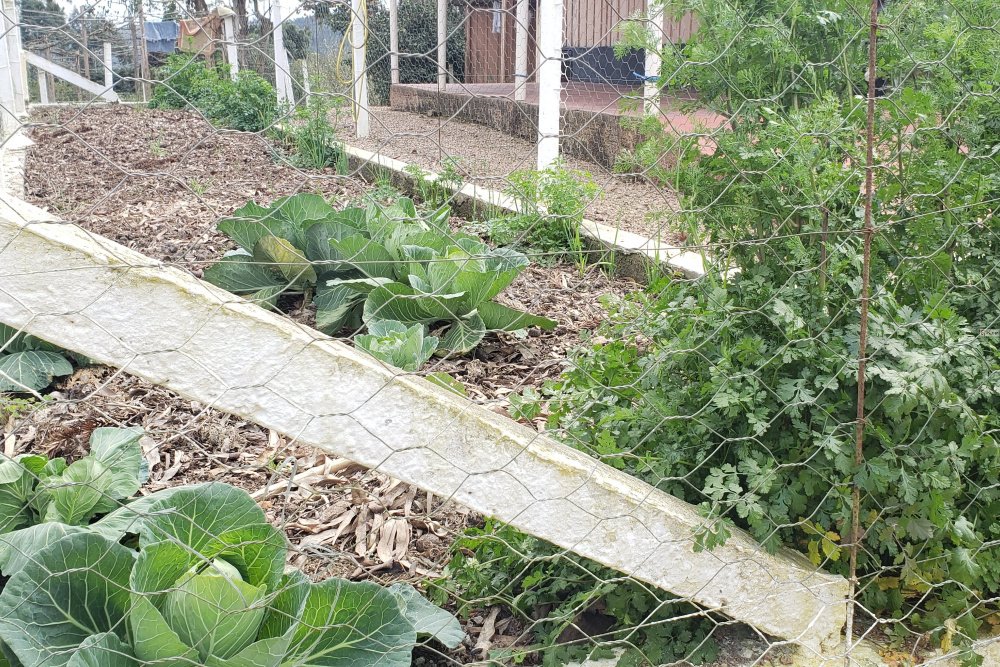 Rua Chimboveiro, N. 000, Chimboveiro, Mandirituba, 0 , 0 ,0,Terreno,Venda,Chimboveiro,Chimboveiro,0,1073