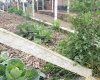Rua Chimboveiro, N. 000, Chimboveiro, Mandirituba, 0 , 0 ,0,Terreno,Venda,Chimboveiro,Chimboveiro,0,1073