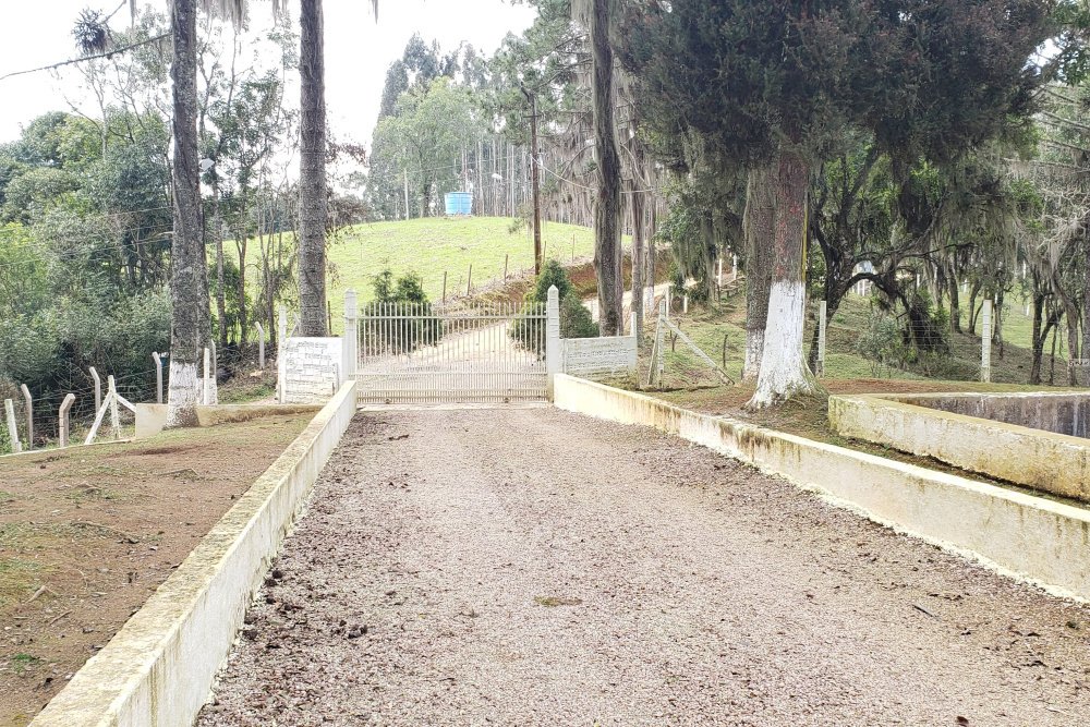 Rua Chimboveiro, N. 000, Chimboveiro, Mandirituba, 0 , 0 ,0,Terreno,Venda,Chimboveiro,Chimboveiro,0,1073