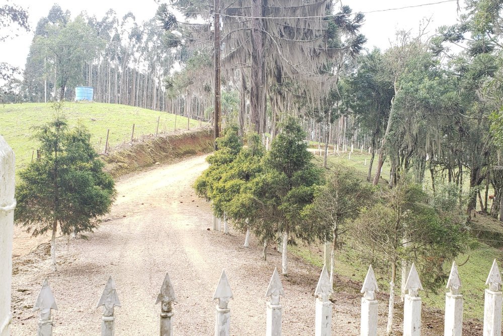 Rua Chimboveiro, N. 000, Chimboveiro, Mandirituba, 0 , 0 ,0,Terreno,Venda,Chimboveiro,Chimboveiro,0,1073