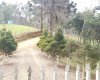 Rua Chimboveiro, N. 000, Chimboveiro, Mandirituba, 0 , 0 ,0,Terreno,Venda,Chimboveiro,Chimboveiro,0,1073